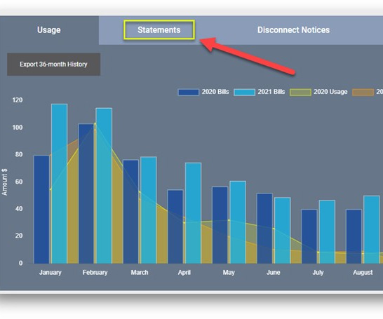 view statements online